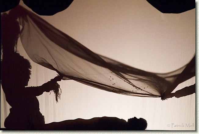 Diapositive suivante